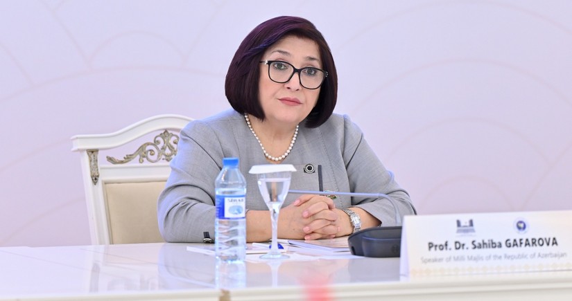 Сахиба Гафарова проинформировала участников международной конференции об антитеррористических мероприятиях в Карабахе
