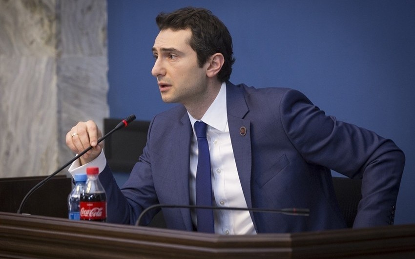 Вице-спикер Грузии назначен руководителем межпарламентской дружественной группы