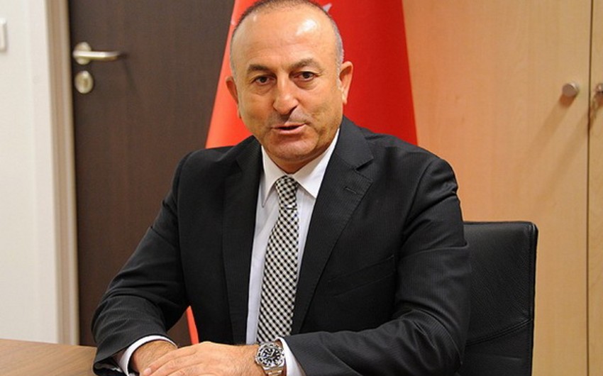 ​Глава МИД Турции выразил отношение к судебному процессу Догу Перинчека