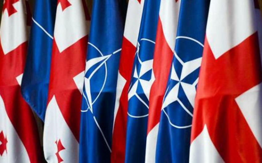 Gürcüstan NATO-dan yeni dəstək alacaq