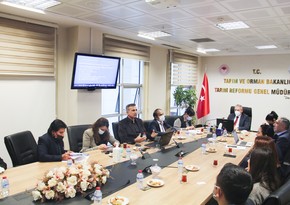 Azerbaijan, Turkey expand agricultural cooperation