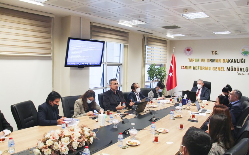Azerbaijan, Turkey expand agricultural cooperation