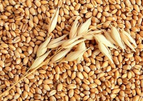 Azerbaijan negotiating with Kazakhstan to increase grain import