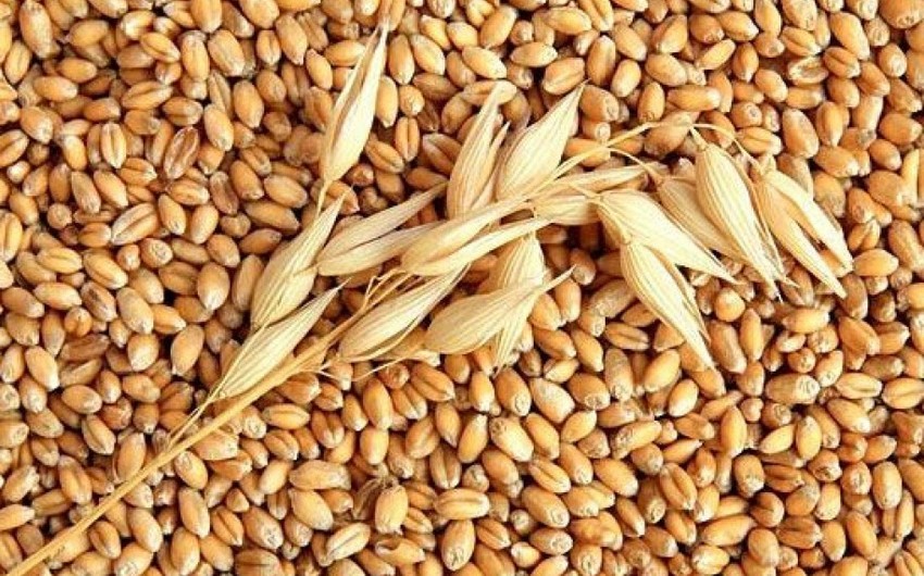 Азербайджан ведет переговоры с Казахстаном об увеличении импорта зерна