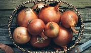 Azerbaijan resumes onion export to North Macedonia