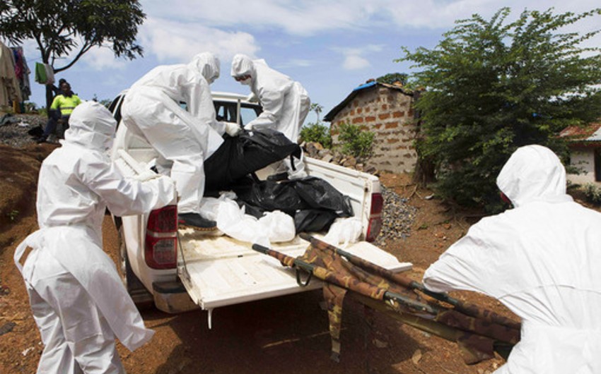 ​Число погибших от Эболы достигло 5177 человек