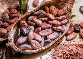 Цены на какао-бобы достигли максимума с 1977 года