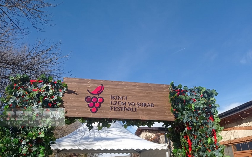 В Шамахе проходит II Фестиваль винограда и вина