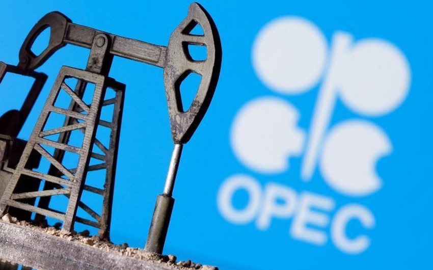 OPEC: Neftin qiyməti ilin ortalarında 40 dollara çata bilər