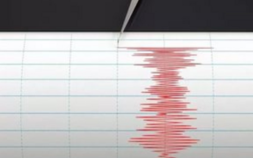 На Камчатке произошло землетрясение магнитудой 4,5