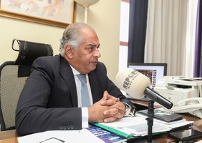 Посол: Египет готов содействовать разминированию освобожденных территорий Азербайджана