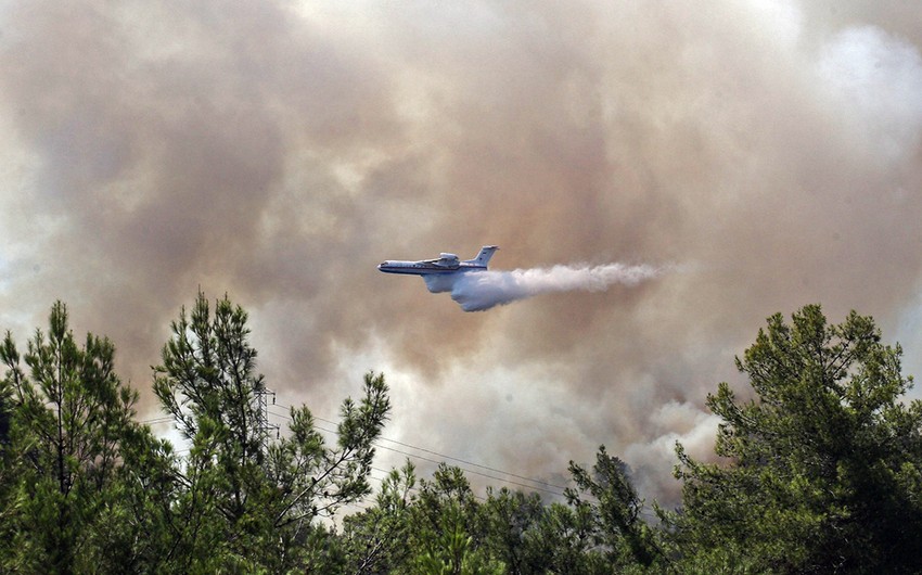 ЕС направит в Турцию три самолета для тушения лесных пожаров