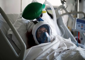 В России за сутки от коронавируса умерли 1240 человек