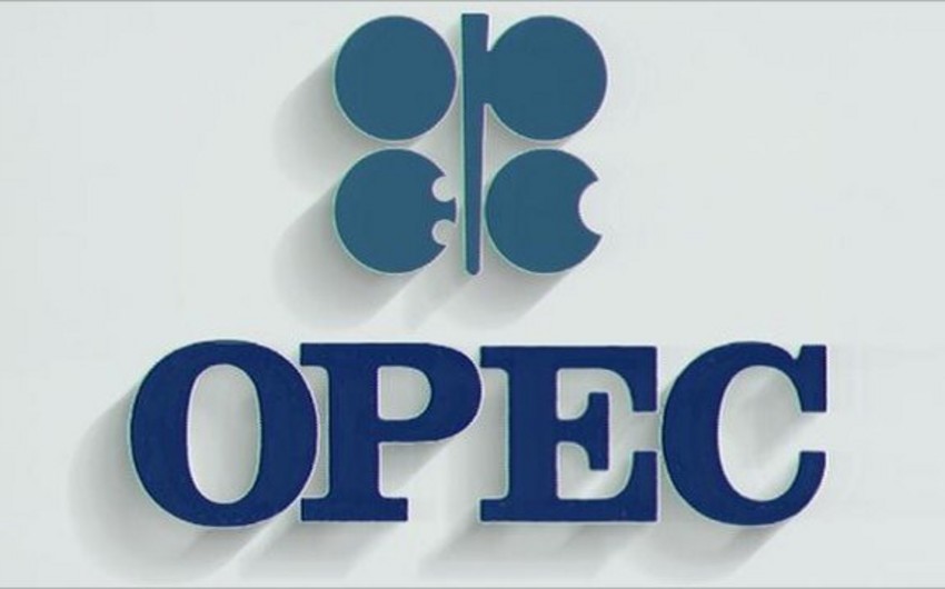 ​OPEC hasilatı maksimum həddə çatdırıb