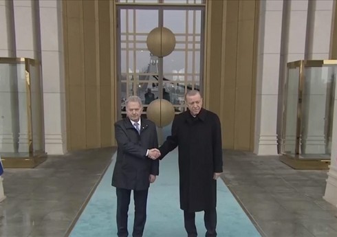 Президенты Турции и Финляндии начали переговоры в узком формате