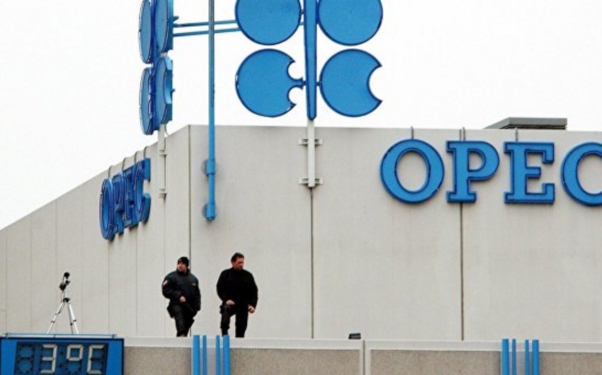 На встрече ОПЕК могут обсудить сокращение добычи нефти на уровне до 5%