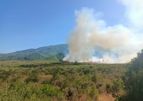 В турецкой провинции Бурдур начался лесной пожар, к тушению привлеченo 5 самолетов