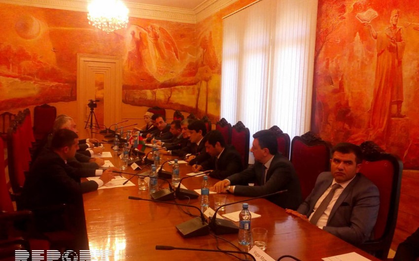 Fuad Muradov Gürcüstan parlamentinin vitse-spikeri ilə görüşüb
