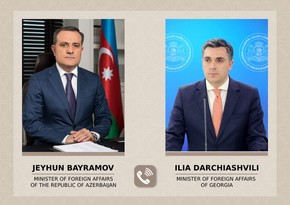 Azerbaijani FM thanks his Georgian colleague