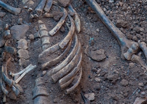 Скелетированные человеческие останки обнаружены на стройке в Москве