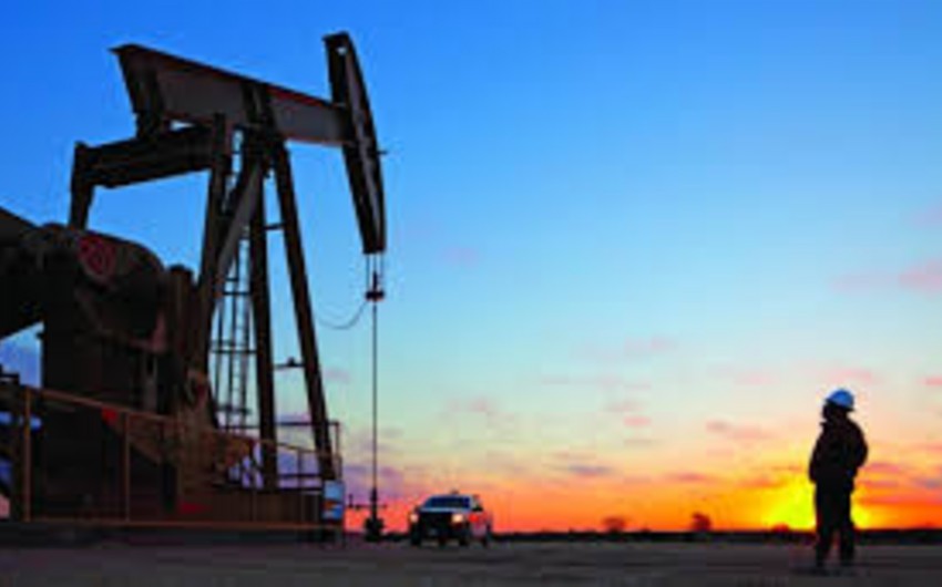 Алжир, Нигерия, Эквадор и Оман поддержали остановку нефтедобычи