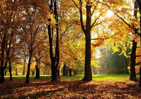 Astronomical autumn starts next week in Azerbaijan