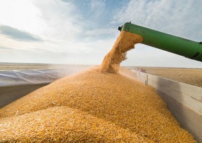 France, Romania ink deal to simplify Ukrainian grain export