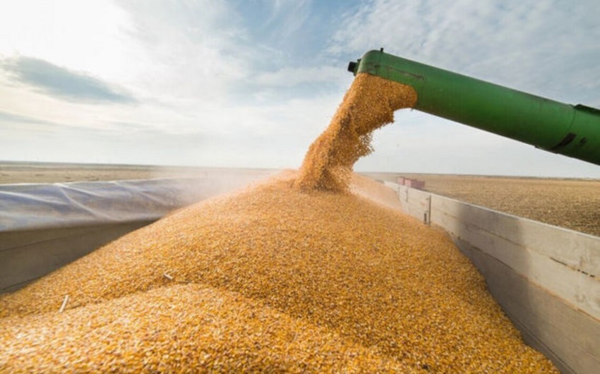 France, Romania ink deal to simplify Ukrainian grain export