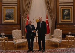 Azerbaijani PM Ali Asadov meets with Turkish President Recep Tayyip Erdogan