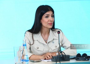 Nigar Arpadarai: Bütün tərəfdaşların COP29-da öz rolunu oynamasını istəyirik