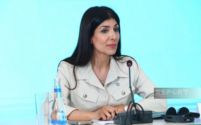 Nigar Arpadarai: Bütün tərəfdaşların COP29-da öz rolunu oynamasını istəyirik