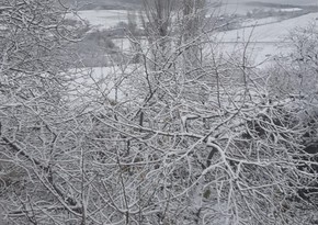 В Шамахинском районе выпал первый снег