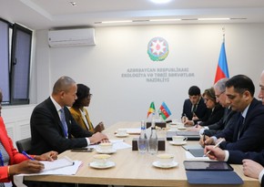 Mukhtar Babayev discusses preparations for COP29 with Congolese minister