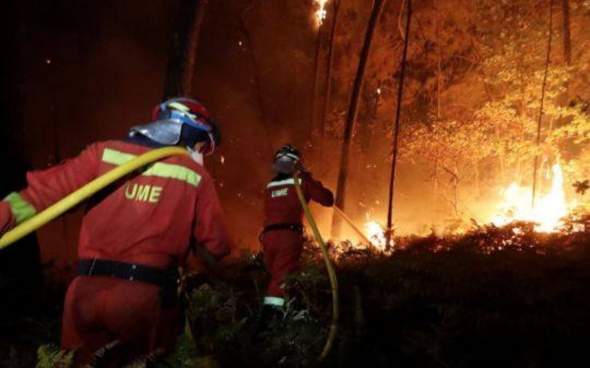 Portuqaliyada meşə yanğınları qurbanlarının sayı 41 nəfərə çatıb