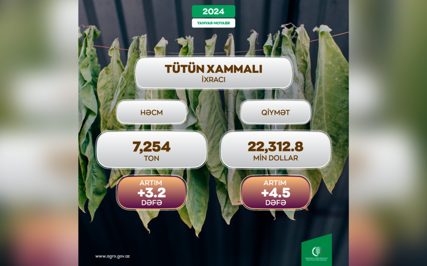 Azerbaijan's raw tobacco exports soar