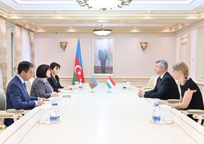 Azerbaijani Parliament speaker receives Hungarian ambassador to Azerbaijan 