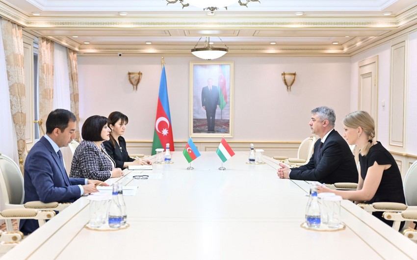 Azerbaijani Parliament speaker receives Hungarian ambassador to Azerbaijan 