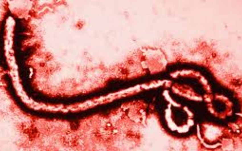 ​Qlazqoda 71 nəfər Eboladan yoxlanacaq