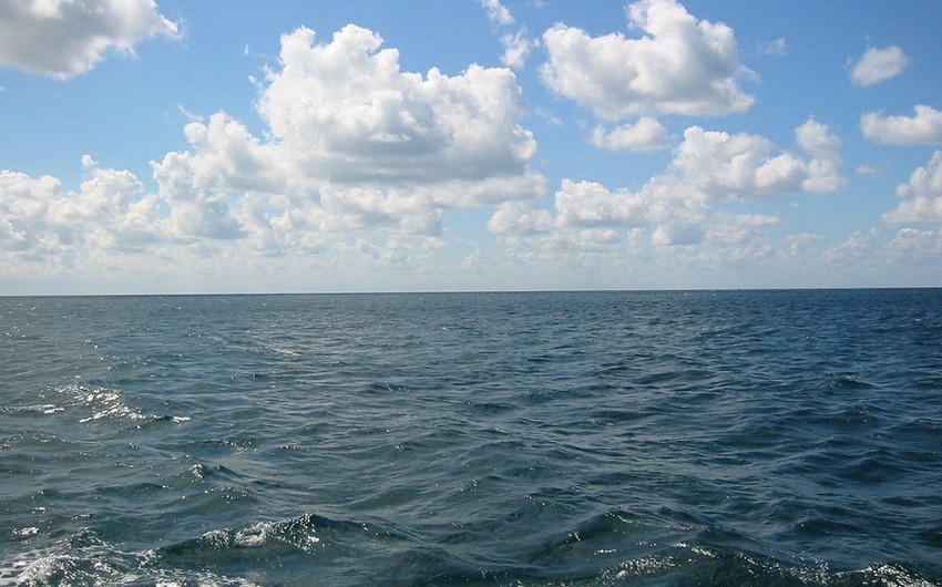 Caspian-littoral states extend moratorium on sturgeon fishing until 2023