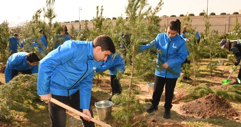 Bakıda növbəti ağacəkmə aksiyası və iməcilik keçirilib