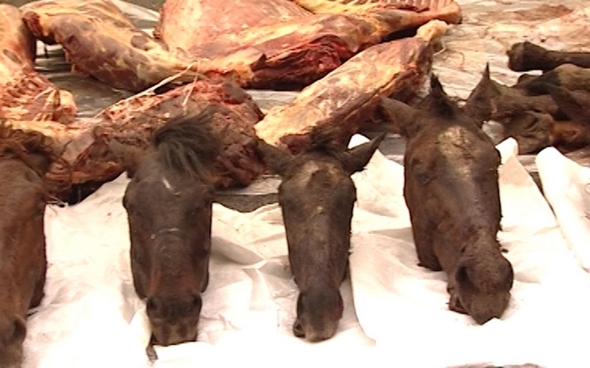 В Кюрдамире выявлено 150 кг мяса лошадей, планирующегося на продажу