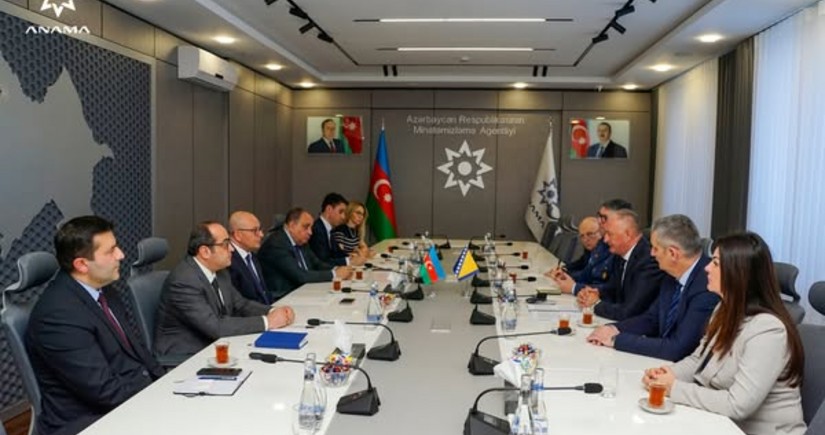 ANAMA-nın sədri bosniyalı nazirlə mina problemini müzakirə edib