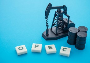 Non-OPEC countries to increase oil supply by 0.7 million barrels in 2021