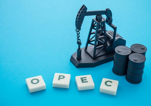 ОПЕК: Экспорт нефти по БТД в феврале вырос на 15%