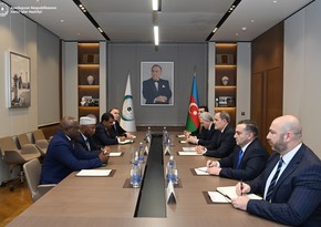 Джейхун Байрамов обсудил с Генсеком ОИС подготовку к саммиту в следующем году