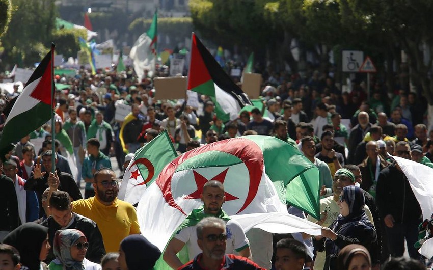 В Алжире начались досрочные парламентские выборы