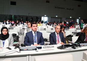 В Дубае обсудили инвестиции в экологические проекты на освобожденных территориях Азербайджана