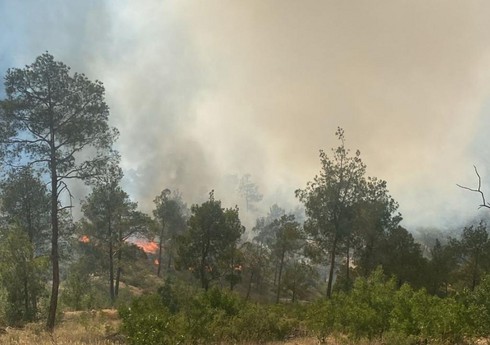  В Мерсине вспыхнул лесной пожар