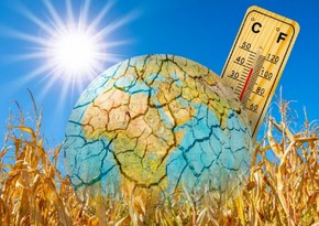 Global temperatures reach unprecedented heights