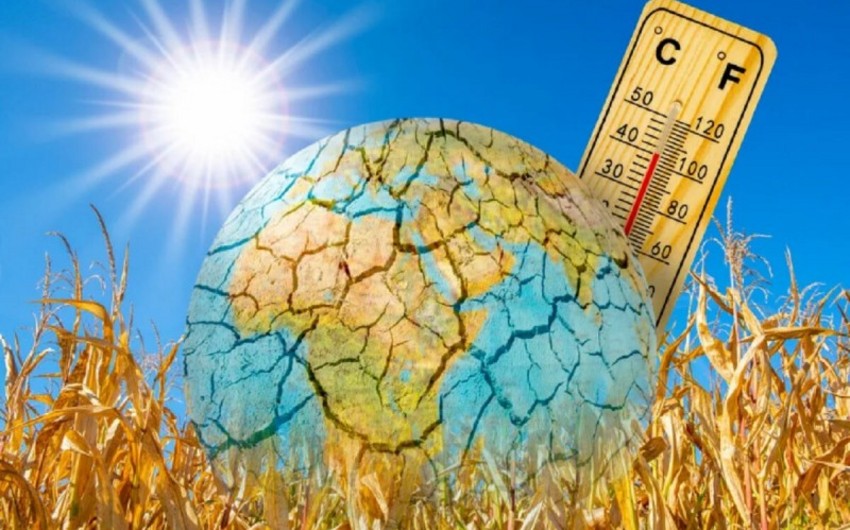 Global temperatures reach unprecedented heights